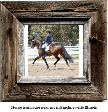 horse trail rides near me in Pinckneyville, Illinois